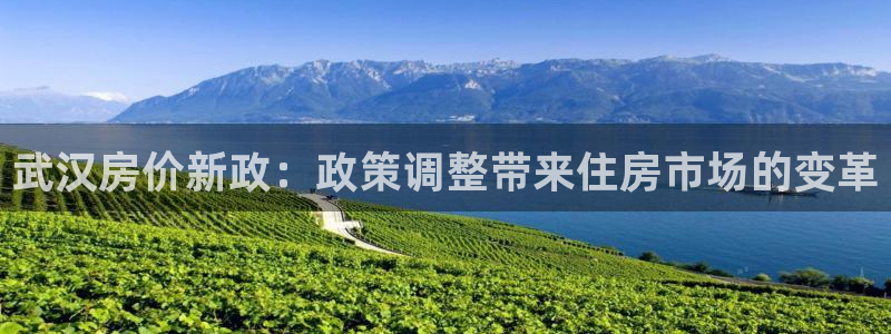 和记手机客户端官网：武汉房价新政：政策调整带来住房市场的变革