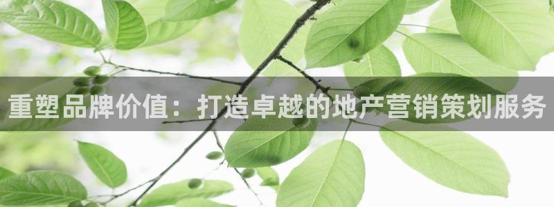 和生记官网：重塑品牌价值：打造卓越的地产营销策划服务