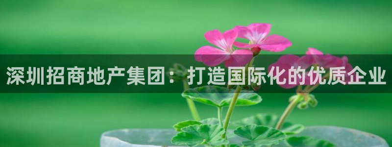 和记怡情赌博官网：深圳招商地产集团：打造国际化的优质企业