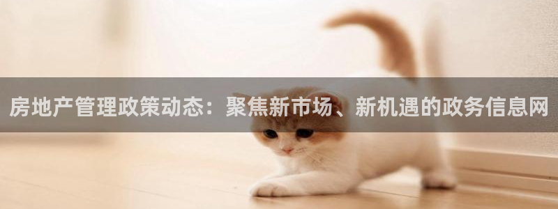 和记官网娱乐场：房地产管理政策动态：聚焦新市场、新机遇的政务