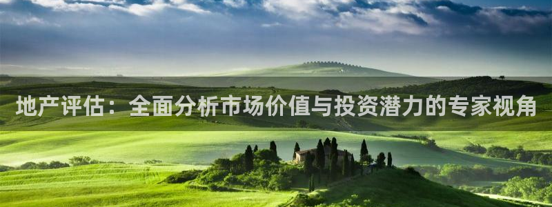 和记 中国官网：地产评估：全面分析市场价值与投资潜力的专家视