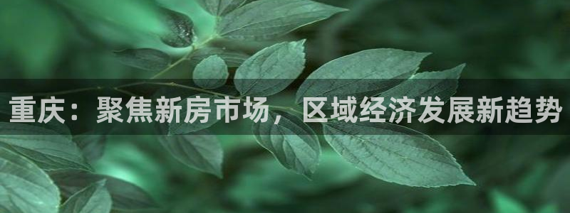 白云 和记黄埔官网