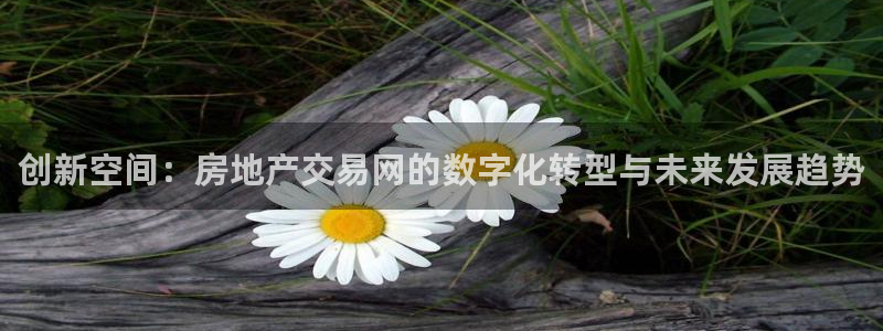 和记黄浦官网：创新空间：房地产交易网的数字化转型与未来发展趋