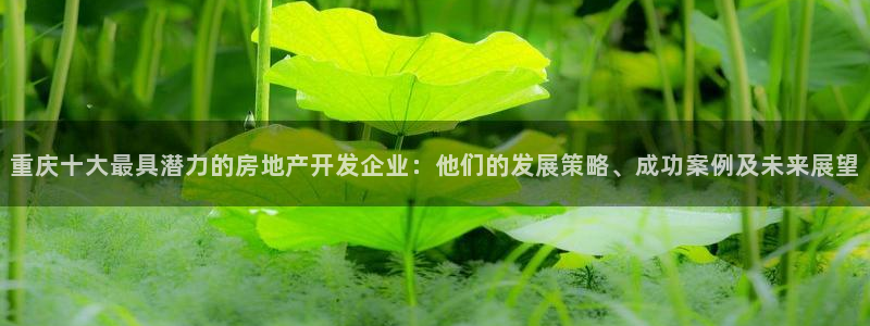 和记登录官网：重庆十大最具潜力的房地产开发企业：他们的发展策