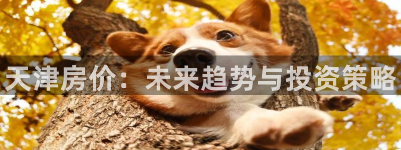 和记官网客服app：天津房价：未来趋势与投资策略