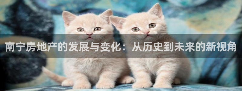 武汉和记黄埔官网：南宁房地产的发展与变化：从历史到未来的新视