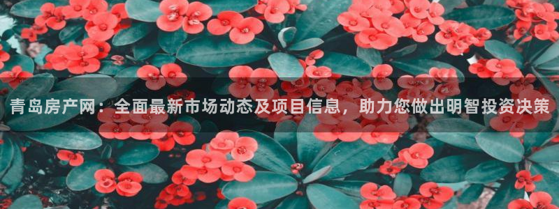 缅甸和记国际官网：青岛房产网：全面最新市场动态及项目信息，助