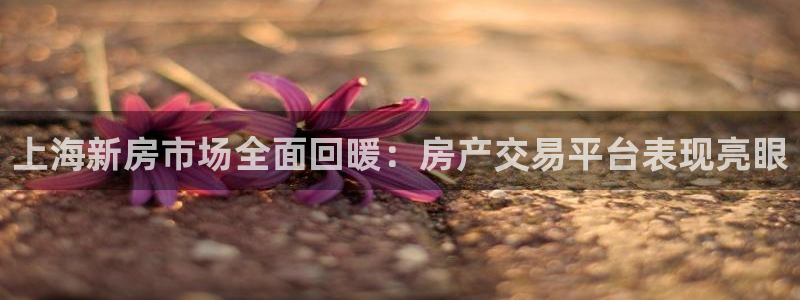 和记3官网：上海新房市场全面回暖：房产交易平台表现亮眼