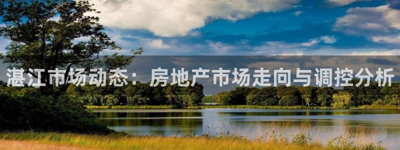 江苏和记伟业官网：湛江市场动态：房地产市场走向与调控分析