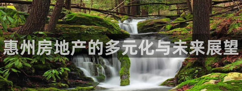 澳门3和记官网：惠州房地产的多元化与未来展望