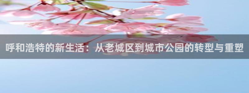 h88和记官网