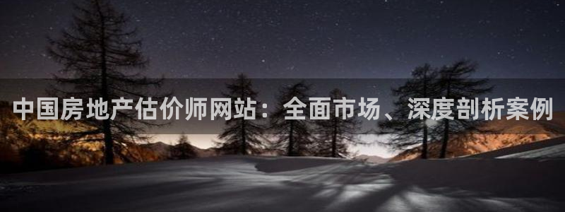 和记黄埔公司官网：中国房地产估价师网站：全面市场、深度剖析案
