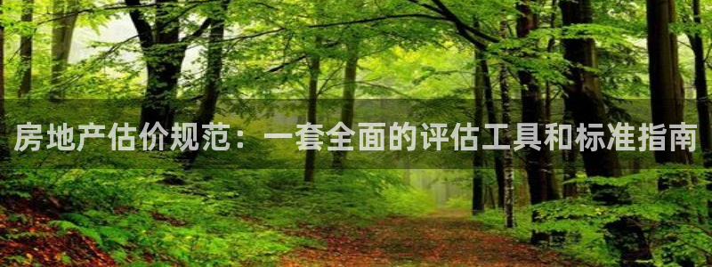 香港和记集团官网：房地产估价规范：一套全面的评估工具和标准指