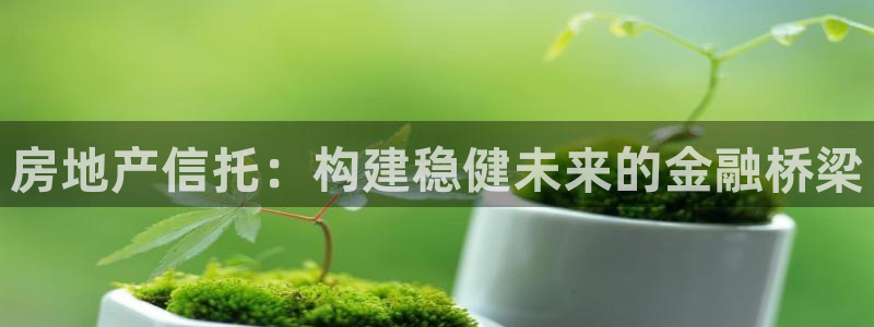 和记h88官网：房地产信托：构建稳健未来的金融桥梁