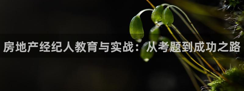 和记手机官网：房地产经纪人教育与实战：从考题到成功之路