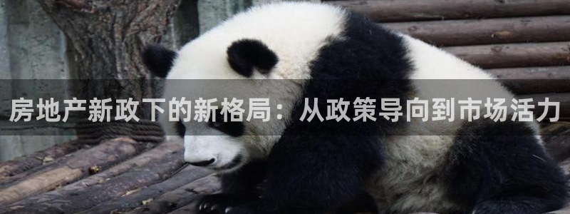 和记3香港 官网：房地产新政下的新格局：从政策导向到市场活力