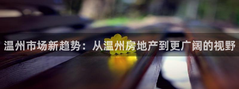 和记官网和记：温州市场新趋势：从温州房地产到更广阔的视野