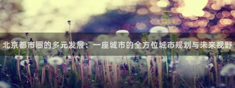 和记混凝土官网：北京都市圈的多元发展：一座城市的全方位城市规