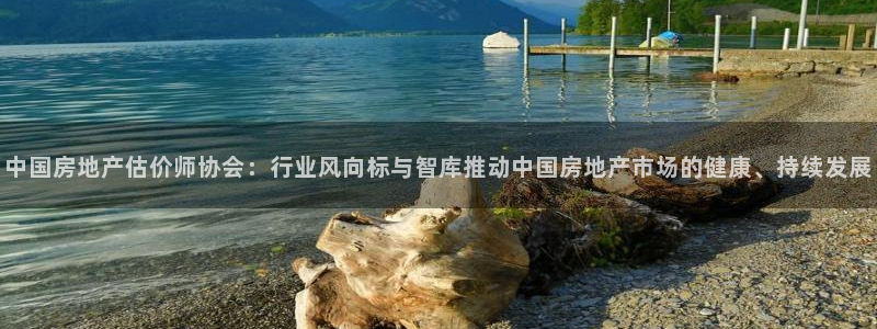 香港和记电讯公司官网：中国房地产估价师协会：行业风向标与智库