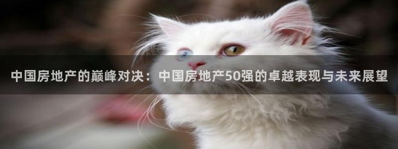 和记茶餐厅官网：中国房地产的巅峰对决：中国房地产50强的卓越