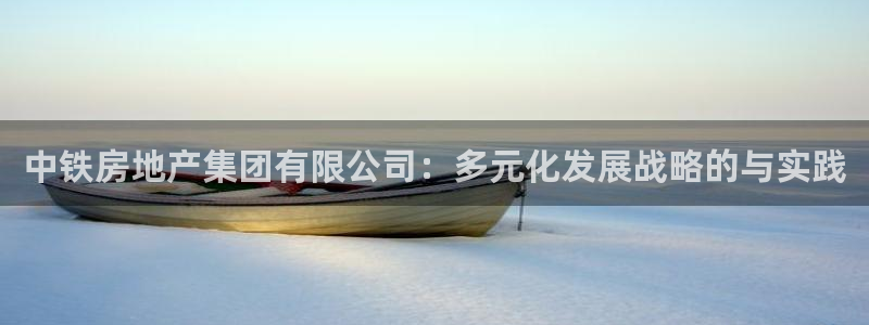 和木记官网：中铁房地产集团有限公司：多元化发展战略的与实践