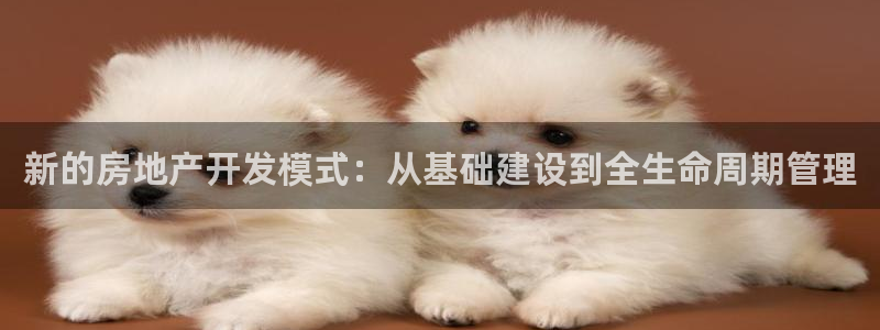 和记娱哪个位置h88285官网：新的房地产开发模式：从基础建