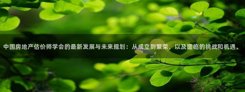 和记国际官网官网：中国房地产估价师学会的最新发展与未来规划：