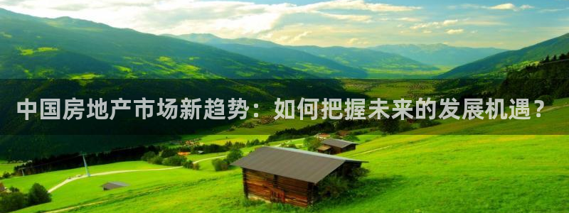 香港和记电讯官网：中国房地产市场新趋势：如何把握未来的发展机