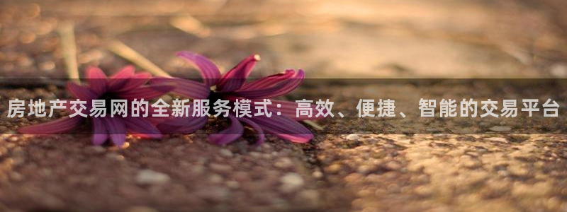 胡和记面官网：房地产交易网的全新服务模式：高效、便捷、智能的
