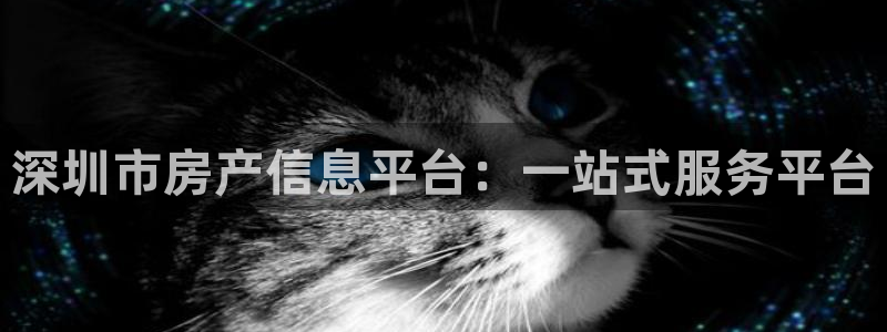 广州和记黄埔官网：深圳市房产信息平台：一站式服务平台