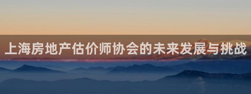 和记国际官网官网：上海房地产估价师协会的未来发展与挑战
