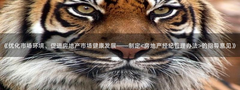 和记香港官网：《优化市场环境、促进房地产市场健康发展——制定