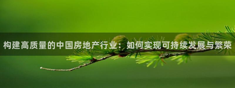 和记备用官网：构建高质量的中国房地产行业：如何实现可持续发展