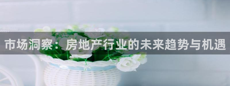 香港和记通讯官网：市场洞察：房地产行业的未来趋势与机遇