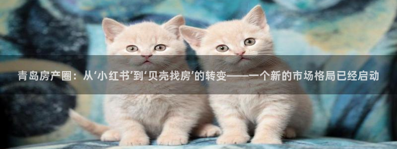 和记hgc官网：青岛房产圈：从‘小红书’到‘贝壳找房’的转变