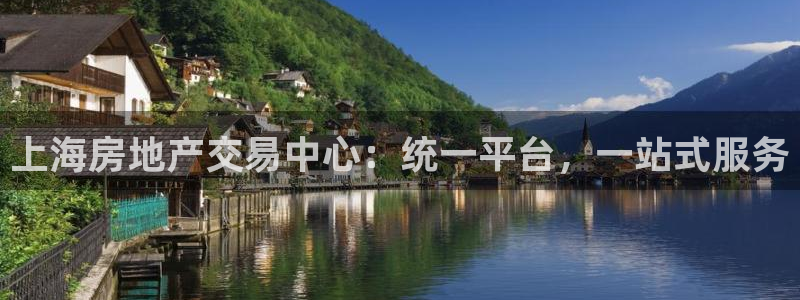 和记官网登录：上海房地产交易中心：统一平台，一站式服务