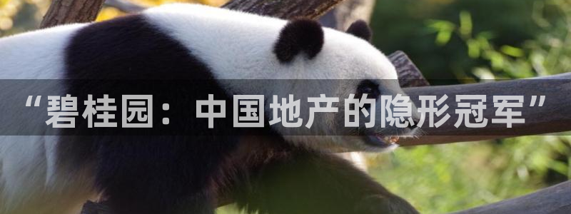 和记电讯官网：“碧桂园：中国地产的隐形冠军”