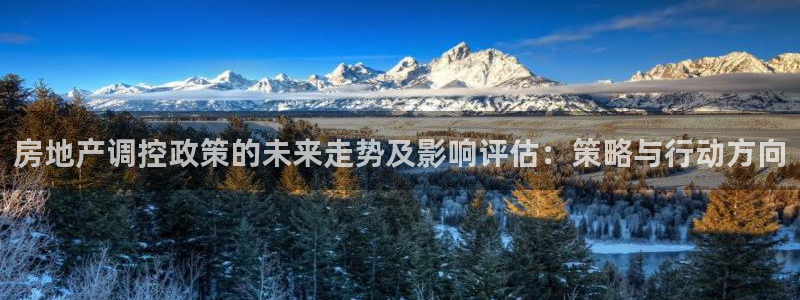 和记彩官网：房地产调控政策的未来走势及影响评估：策略与行动方