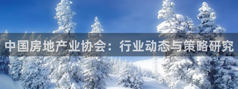 和记一品官网：中国房地产业协会：行业动态与策略研究