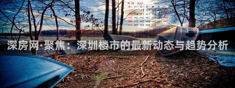 和记黄埔公司官网：深房网·聚焦：深圳楼市的最新动态与趋势分析