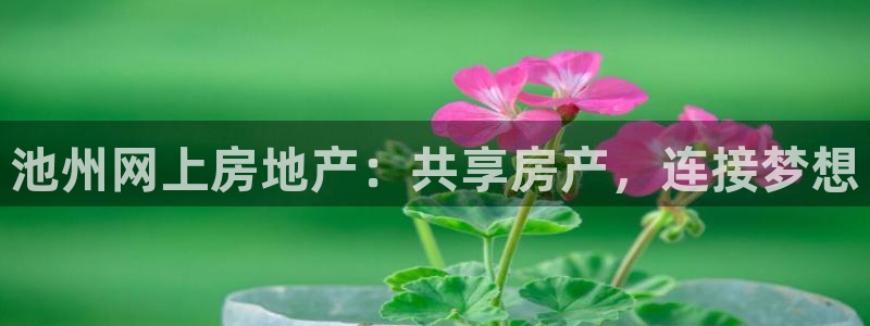 和记娱乐在线官网：池州网上房地产：共享房产，连接梦想