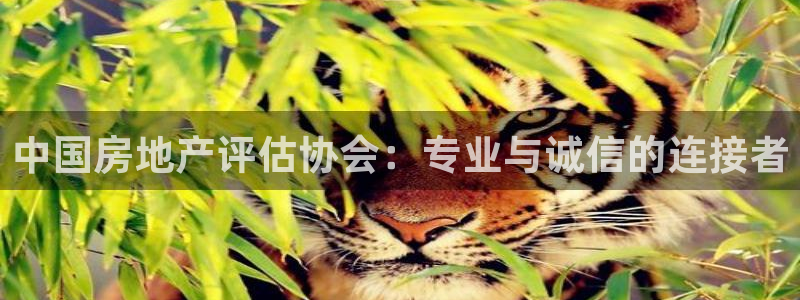 和记娱精湛h88285官网：中国房地产评估协会：专业与诚信的