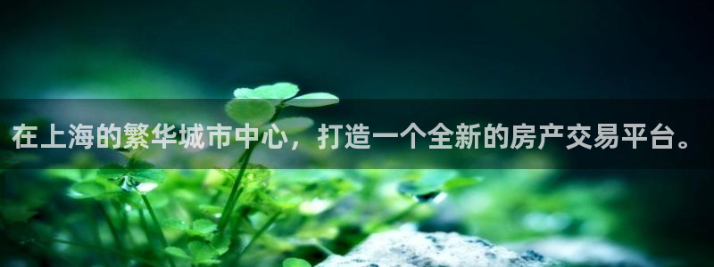 长江和记官网：在上海的繁华城市中心，打造一个全新的房产交易平