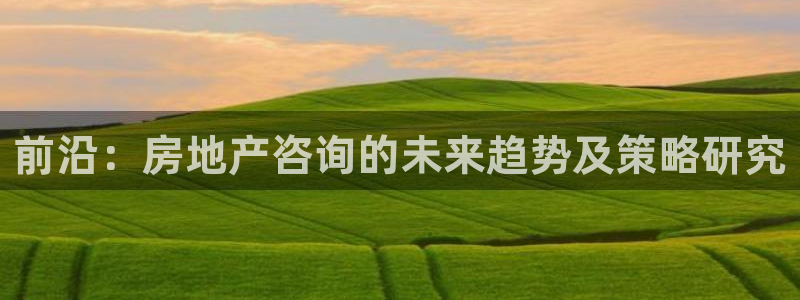 和记app官网登录：前沿：房地产咨询的未来趋势及策略研究