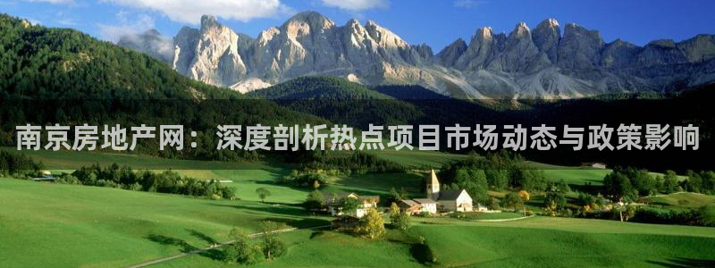 和记黄埔武汉官网：南京房地产网：深度剖析热点项目市场动态与政