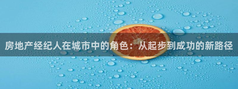 和记官网官网入口：房地产经纪人在城市中的角色：从起步到成功的