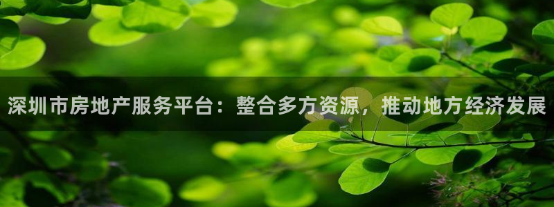 和记3hk官网：深圳市房地产服务平台：整合多方资源，推动地方