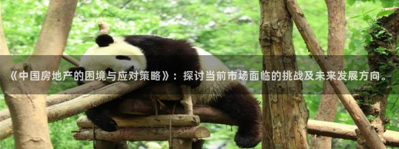和记大合城dk2官网：《中国房地产的困境与应对策略》：探讨当