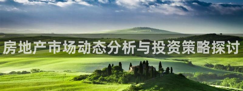 毛记和意冒菜官网加盟：房地产市场动态分析与投资策略探讨