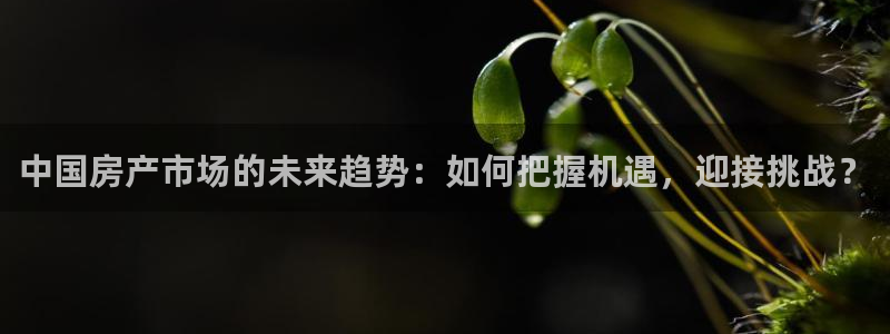 小金库钱包app下载官网和记：中国房产市场的未来趋势：如何把